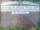 image of grave number 593947